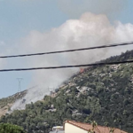 Πυρκαγιά σε δασική έκταση στην περιοχή Ανατολή Νέας Μάκρης Αττικής